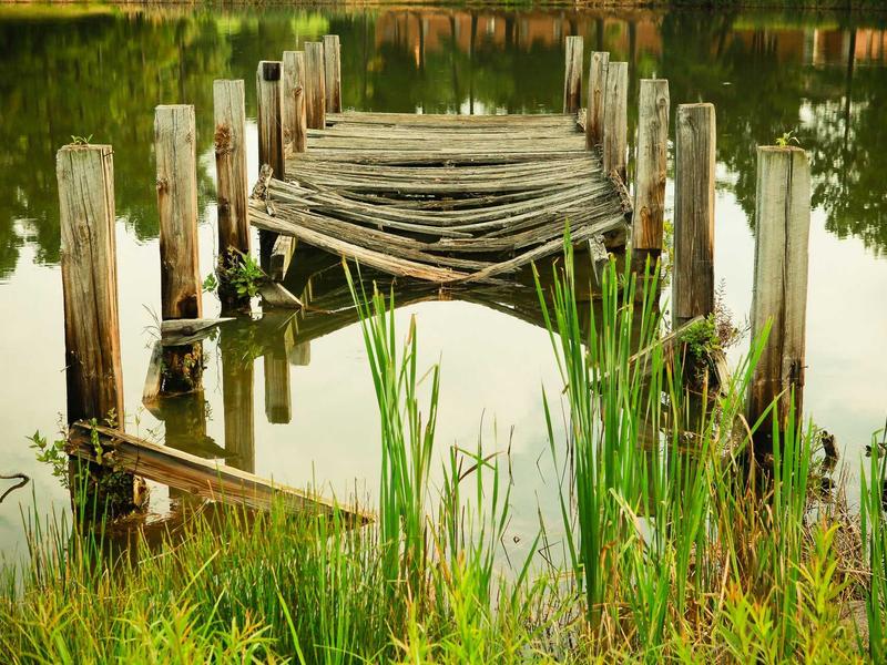 sudoku perfect score