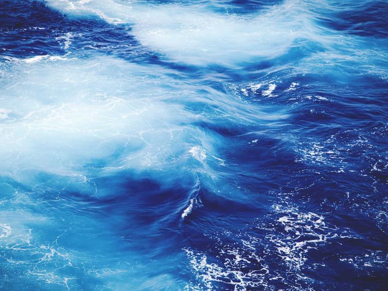 community screenshot 6